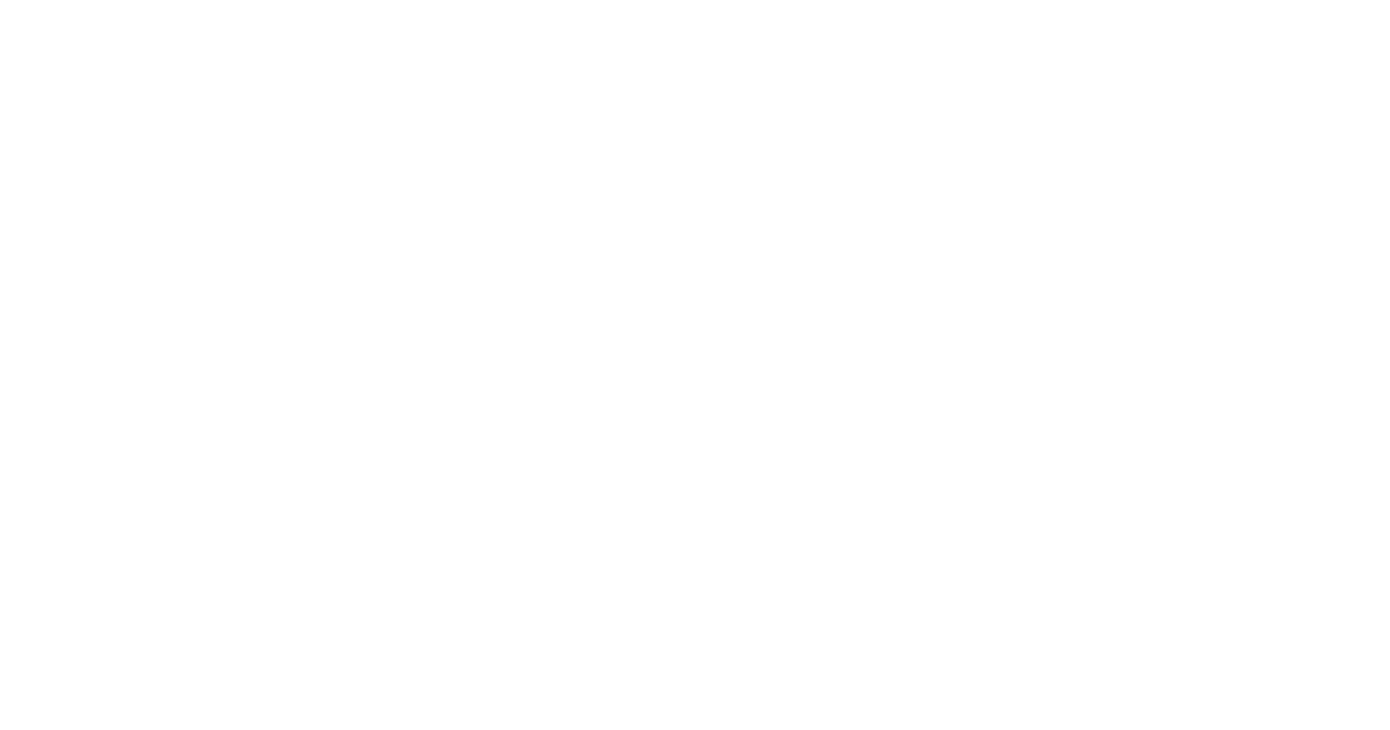 Little BIrd Logo